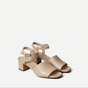 Everlane Block Heel Sandal